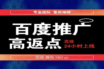 百度竞价推广在电商领域的赚钱案例