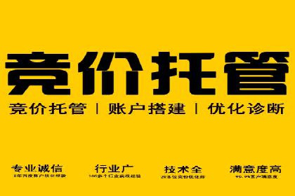 某零售业SEM策略调整，实现销售业绩大增